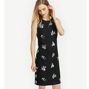 NWOT Ann Taylor black lace dress sz 12